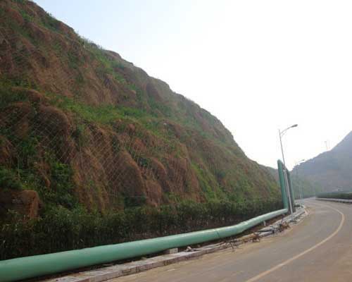 ���P��߅�·��o�W(w��ng)