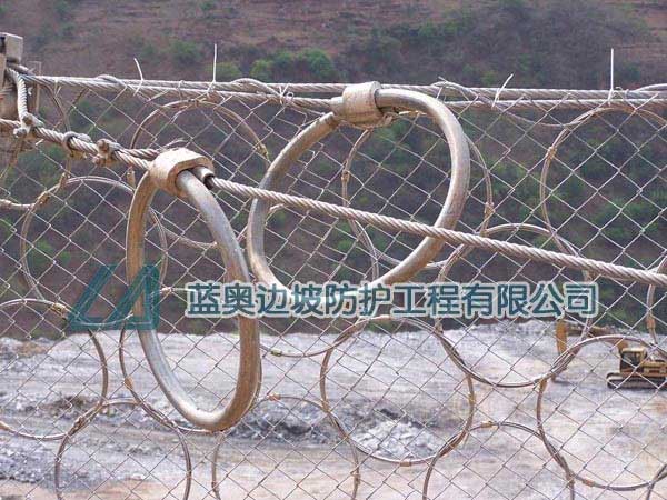 RXI100�ͱ���(d��ng)���o(h��)�W(w��ng)