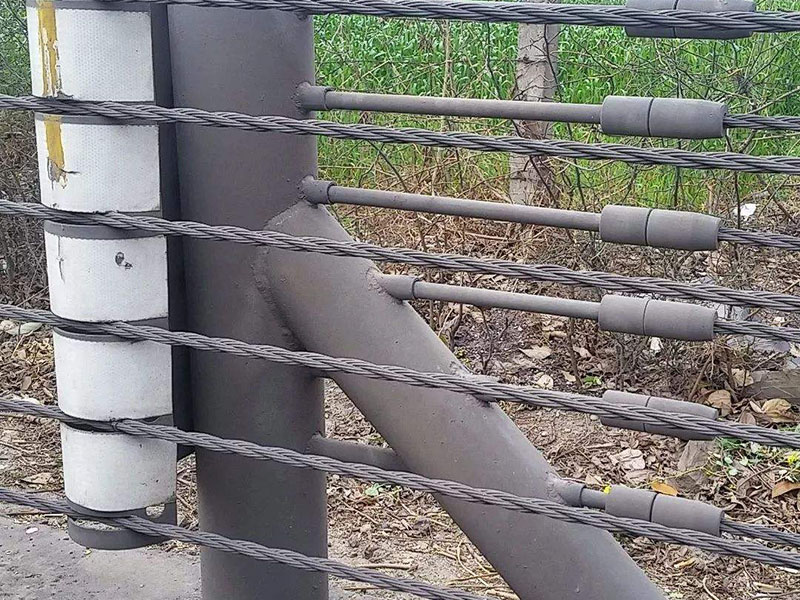 �|���o(h��)��